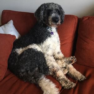 Meet your Posher, Jane